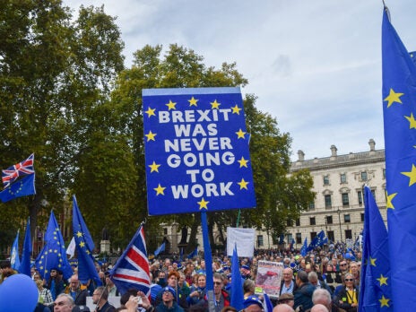 Do voters want the UK to rejoin the EU?